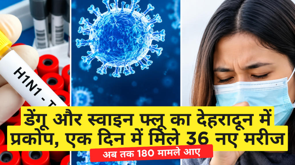 डेंगू और स्वाइन फ्लू का देहरादून में प्रकोप, एक दिन में मिले 36 नए मरीज डेंगू और स्वाइन फ्लू का देहरादून में प्रकोप, एक दिन में मिले 36 नए मरीज